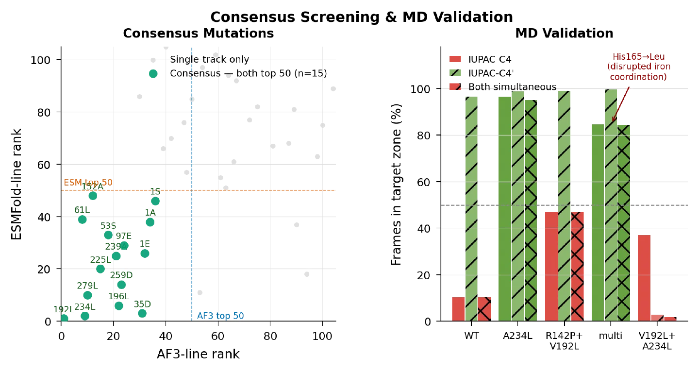 Left: mutations ranked by both tracks, with the consensus set picked out. Right: how each system held the substrate over 500 ns.