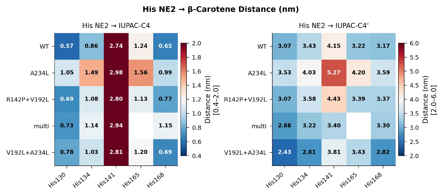 His NE2 to each ketolation site, averaged over the run. Blue is close, red is far.