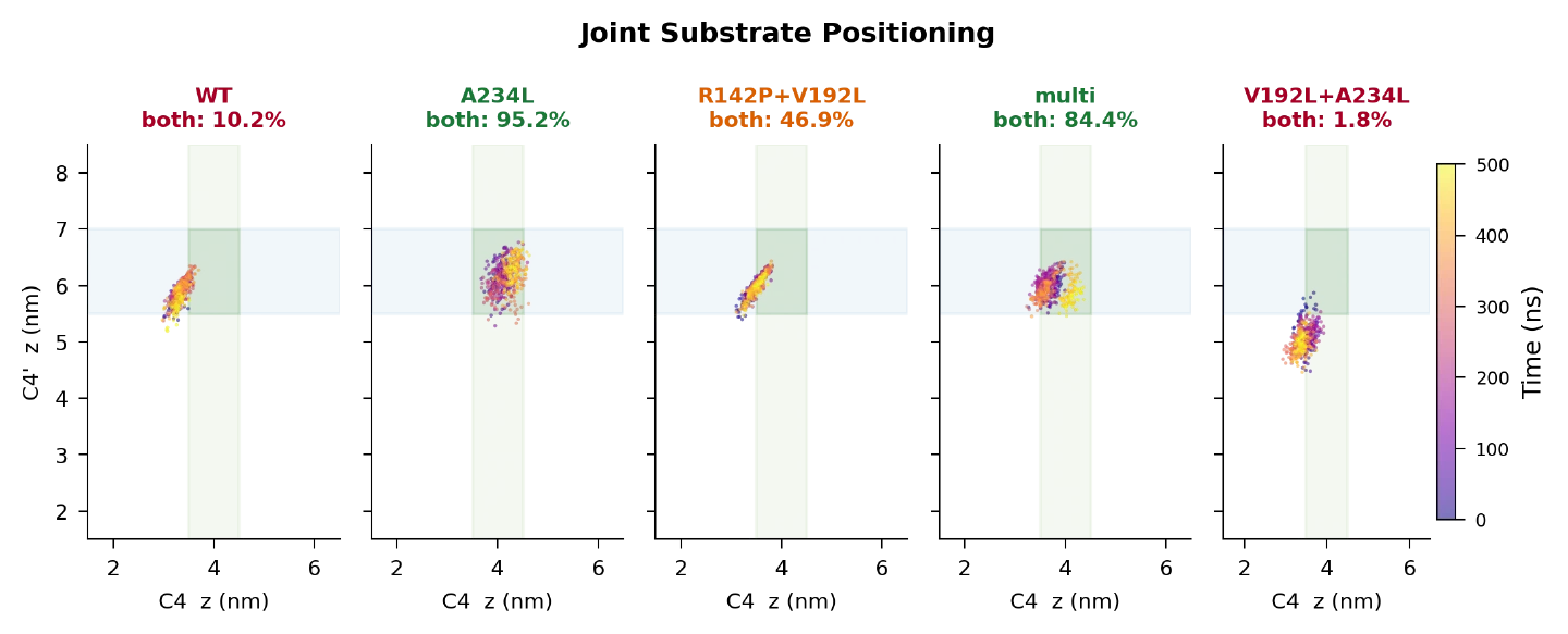 C4 against C4′ across the run, coloured by time. Only A234L holds both ends in their target zones simultaneously — 95.2% of frames against wild-type's 10.2%.