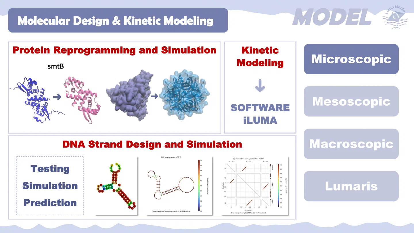 Molecular design and kinetic modelling.